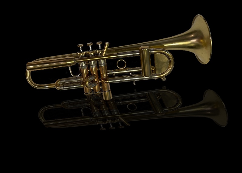 Inderbinen-Studie-Trumpet-Jamies-Trumpet-Gallery.png