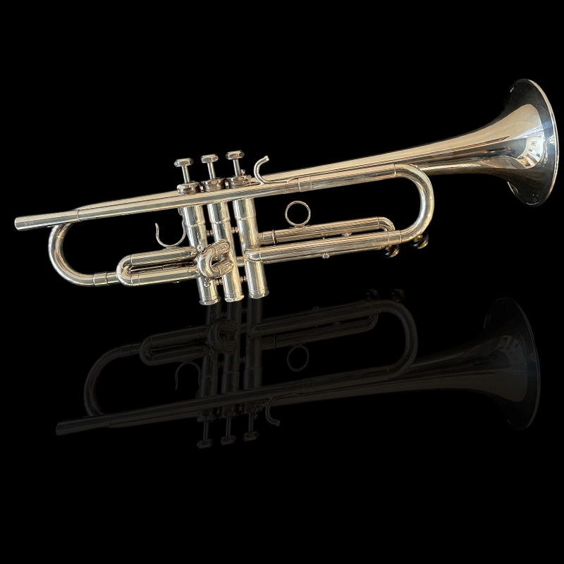 Photoroom_20251011_144553.png