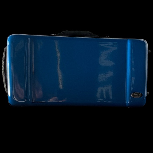BAGSCase-Blue.png